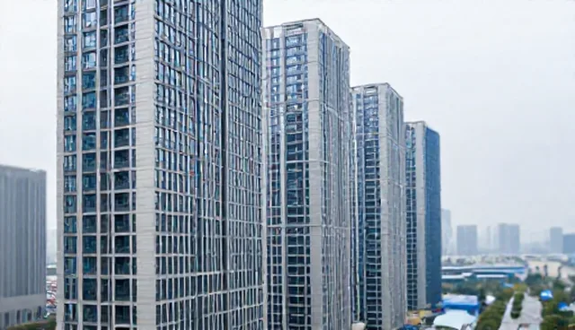项目咨询中检查要点的组织与应用场景分析